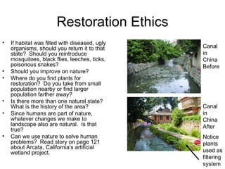 Restoration Ethics
•   If habitat was filled with diseased, ugly
    organisms, should you return it to that     Canal
    state? Should you reintroduce               in
    mosquitoes, black flies, leeches, ticks,    China
    poisonous snakes?                           Before
•   Should you improve on nature?
•   Where do you find plants for
    restoration? Do you take from small
    population nearby or find larger
    population farther away?
•   Is there more than one natural state?
    What is the history of the area?            Canal
•   Since humans are part of nature,            in
    whatever changes we make to                 China
    landscape also are natural. Is that         After
    true?
•   Can we use nature to solve human            Notice
    problems? Read story on page 121            plants
    about Arcata, California’s artificial
    wetland project.                            used as
                                                filtering
                                                system
 