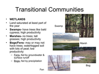 Transitional Communities
•   WETLANDS
•   Land saturated at least part of
    the year                          Swamp
•   Swamps- have trees like bald
    cypress; high productivity
•   Marshes- no trees; tall
    grasses; high productivity
•   Bogs/Fens- may or may not                 Marsh
    have trees; waterlogged soil
    with lots of peat; low
    productivity
     – Fens- fed by groundwater &
       surface runoff
     – Bogs- fed by precipitation
                                                  Bog
                             Fen
 