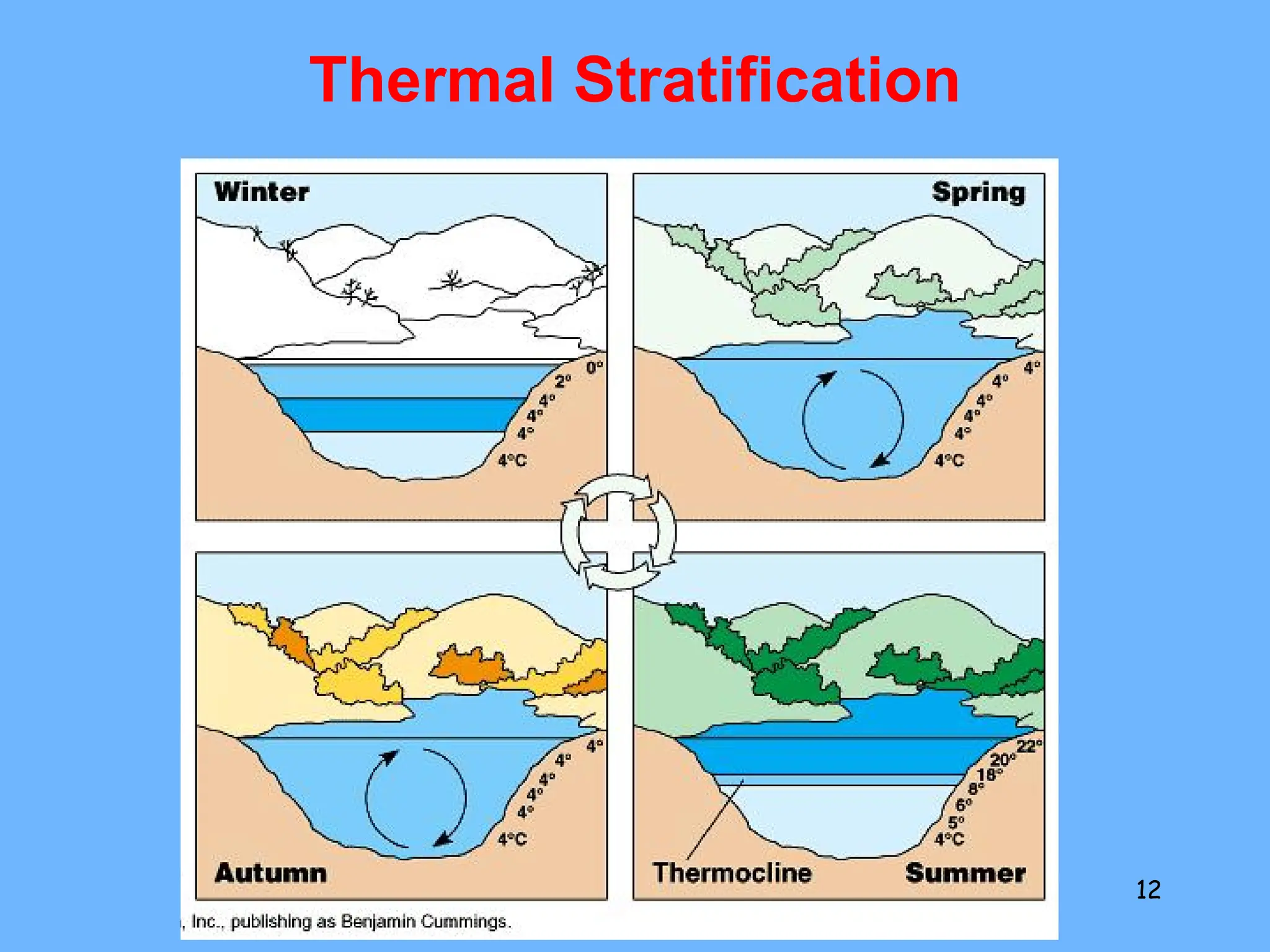 Thermal Stratification
12
 