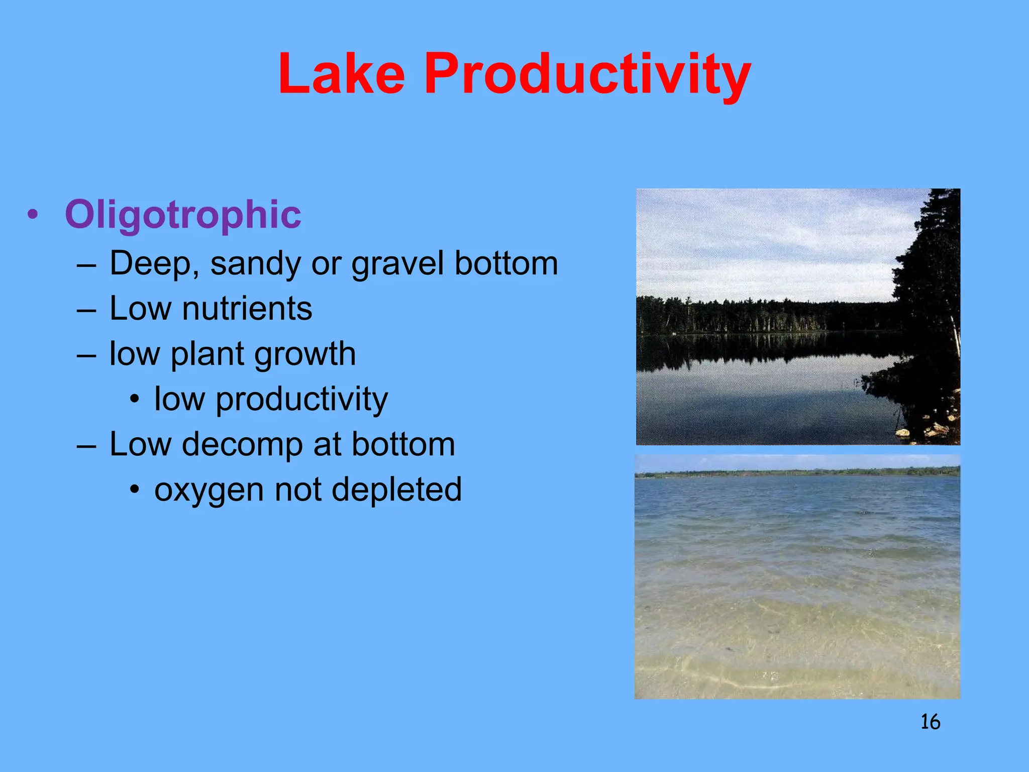 Lake Productivity
• Oligotrophic
– Deep, sandy or gravel bottom
– Low nutrients
– low plant growth
• low productivity
– Low decomp at bottom
• oxygen not depleted
16
 