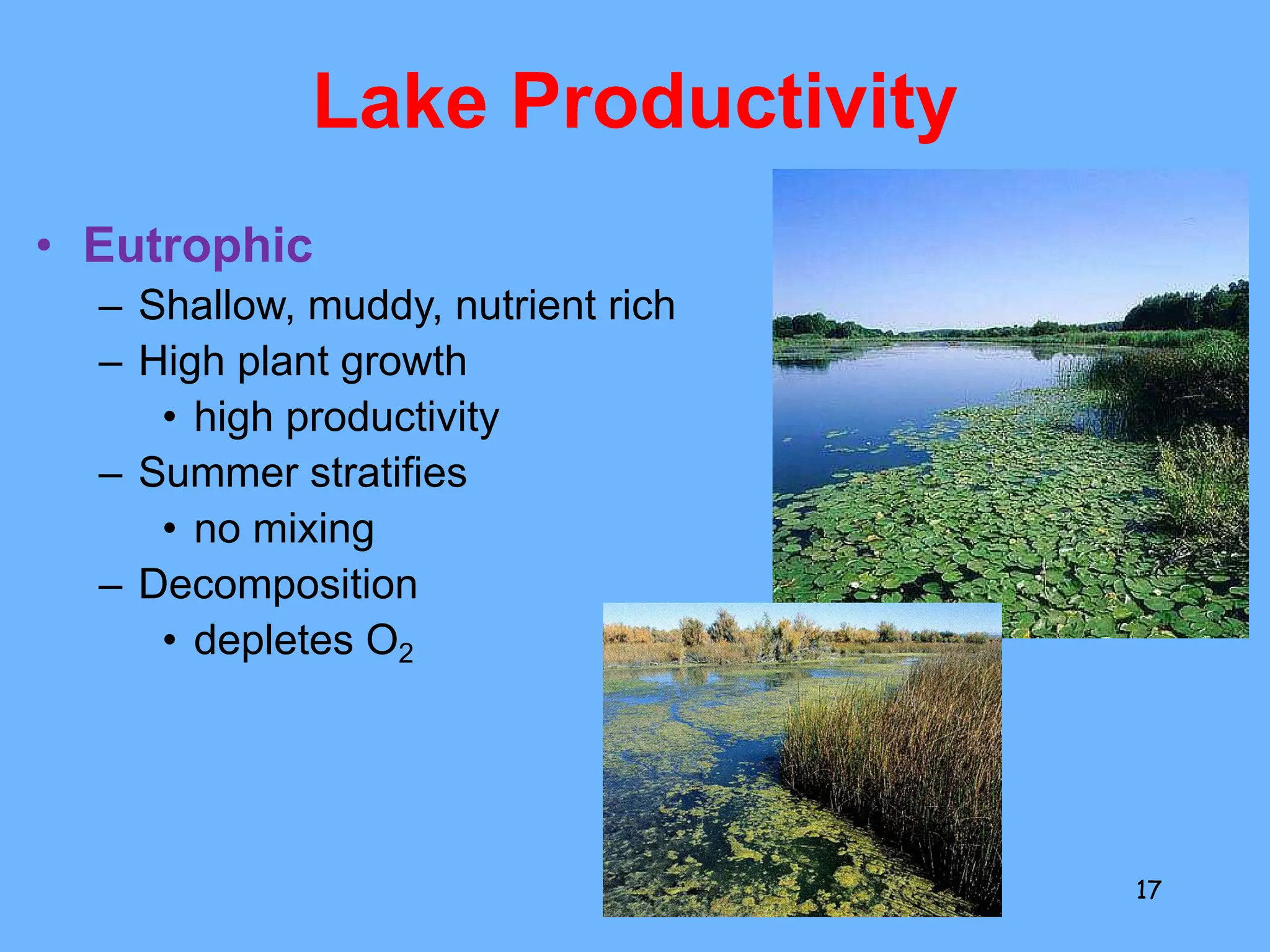 Lake Productivity
• Eutrophic
– Shallow, muddy, nutrient rich
– High plant growth
• high productivity
– Summer stratifies
• no mixing
– Decomposition
• depletes O2
17
 