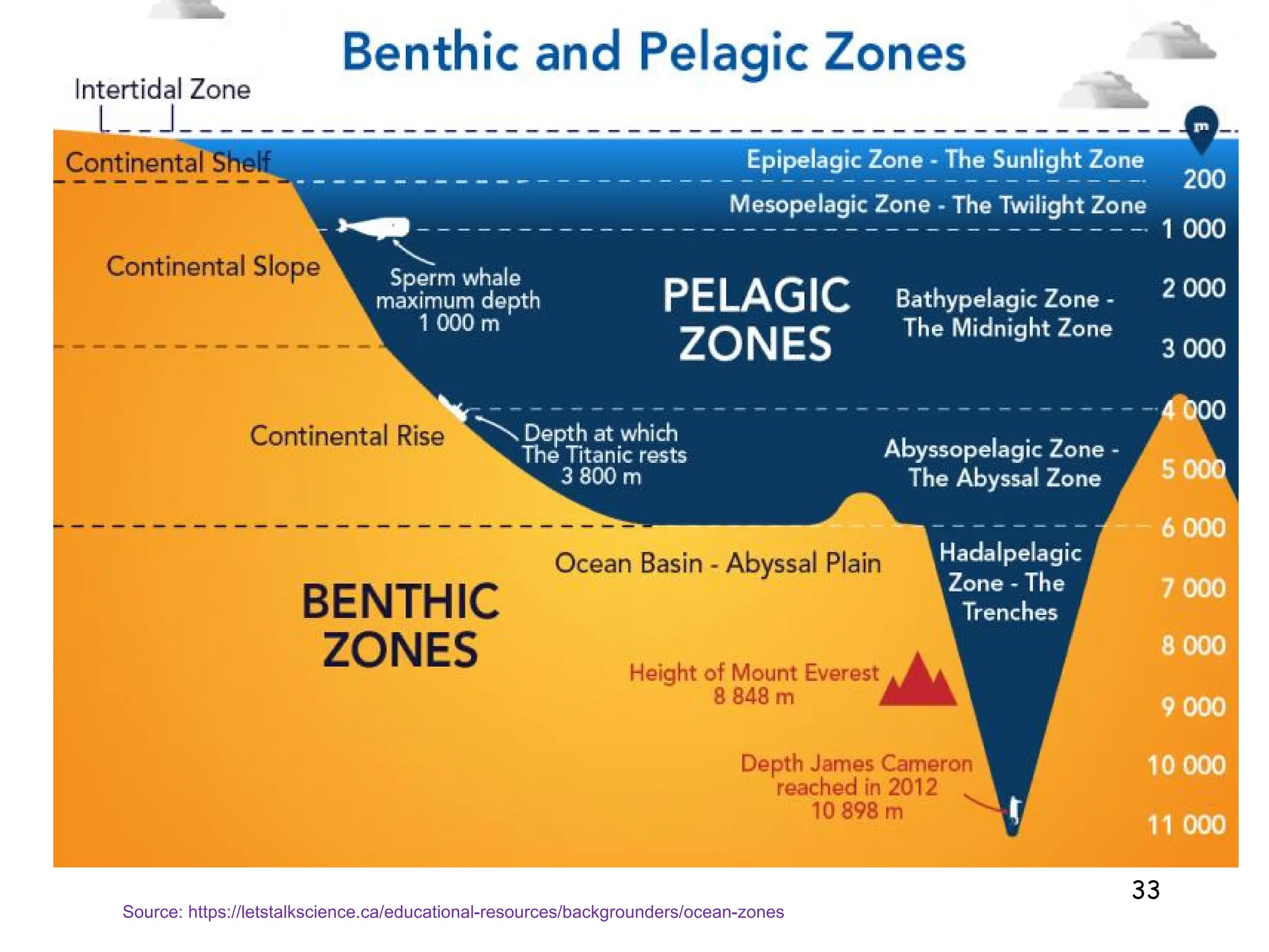33
Source: https://letstalkscience.ca/educational-resources/backgrounders/ocean-zones
 