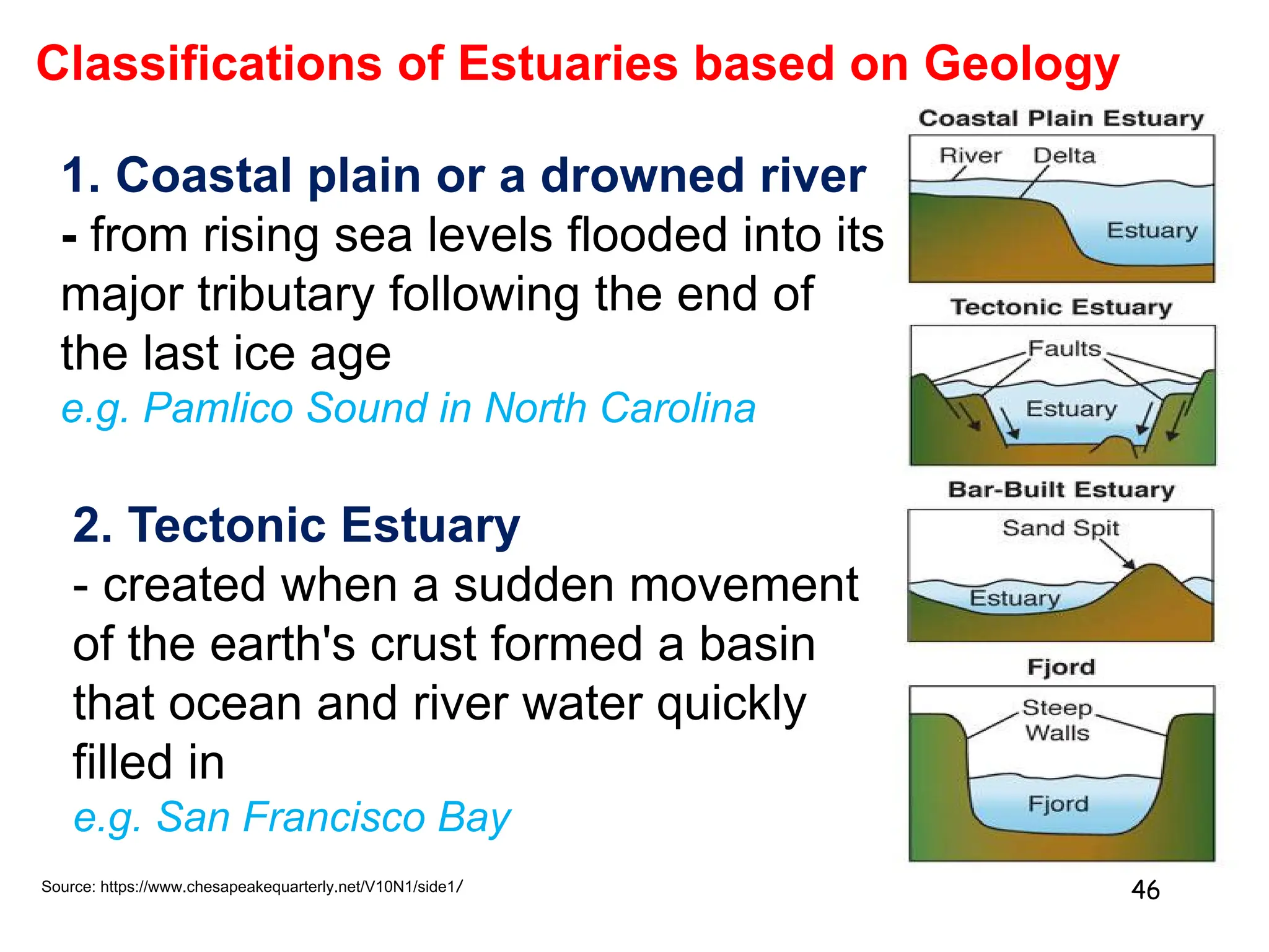 Classifications of Estuaries based on Geology
46
Source: https://www.chesapeakequarterly.net/V10N1/side1/
1. Coastal plain or a drowned river
- from rising sea levels flooded into its
major tributary following the end of
the last ice age
e.g. Pamlico Sound in North Carolina
2. Tectonic Estuary
- created when a sudden movement
of the earth's crust formed a basin
that ocean and river water quickly
filled in
e.g. San Francisco Bay
 