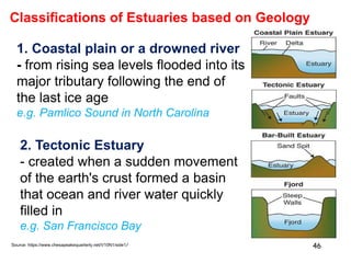 Aquatic Ecosystems | PDF