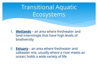 Aquatic Ecosystems PowerPoint Presentation | PPTX