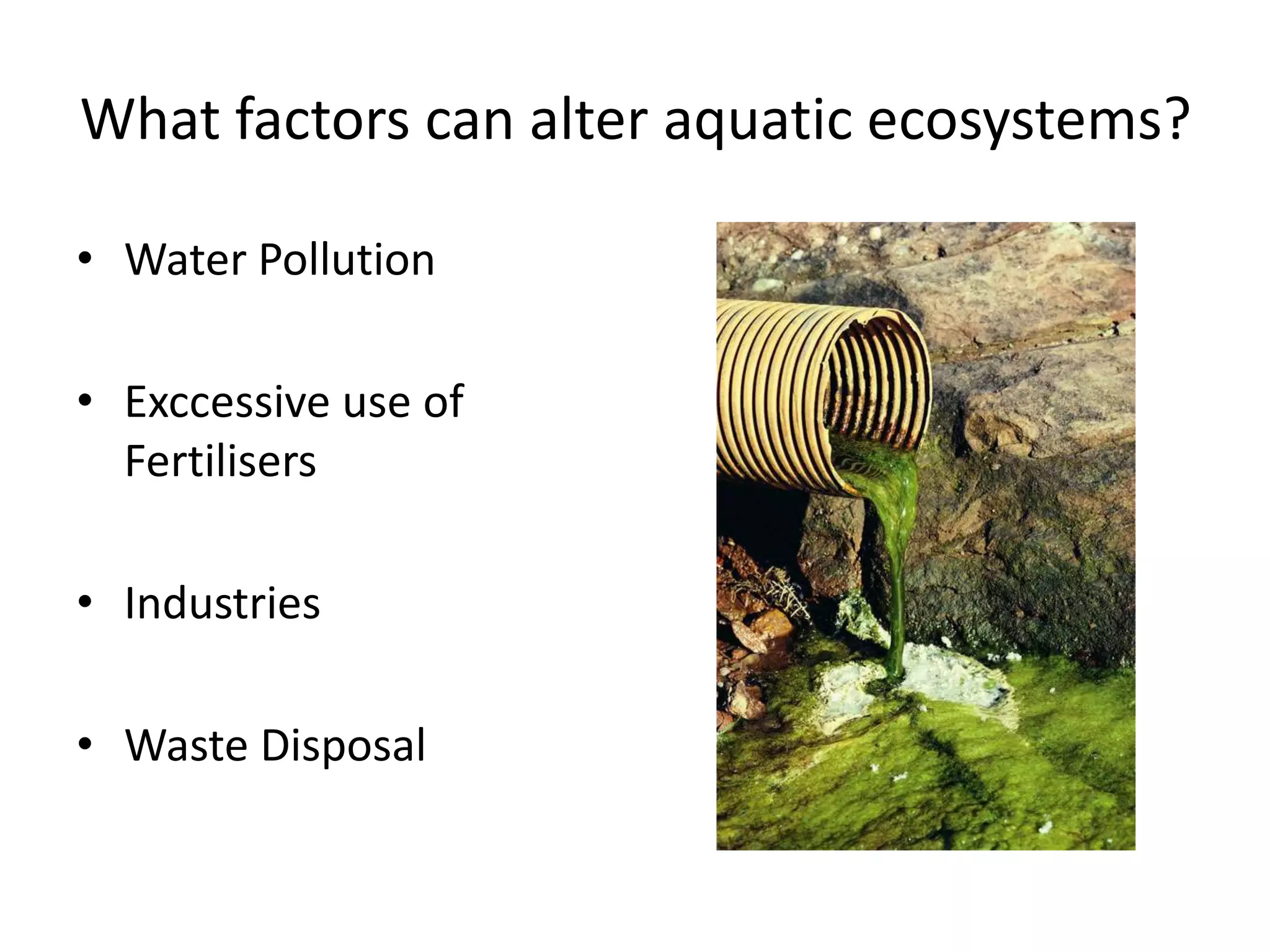 What factors can alter aquatic ecosystems?

• Water Pollution

• Exccessive use of
  Fertilisers

• Industries

• Waste Disposal
 