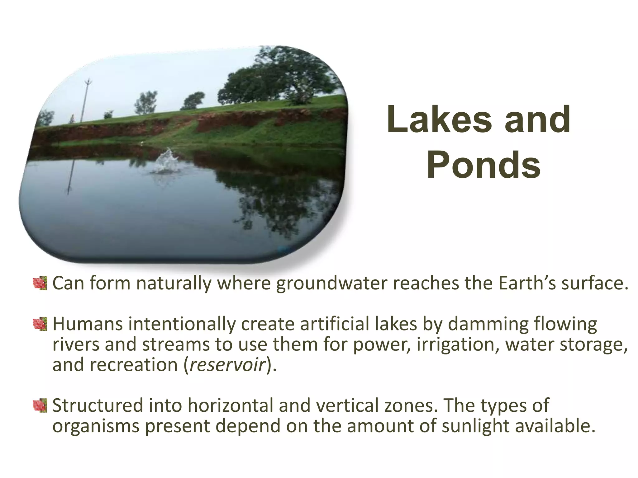 Lakes and
                                         Ponds

Can form naturally where groundwater reaches the Earth’s surface.
Humans intentionally create artificial lakes by damming flowing
rivers and streams to use them for power, irrigation, water storage,
and recreation (reservoir).
Structured into horizontal and vertical zones. The types of
organisms present depend on the amount of sunlight available.
 