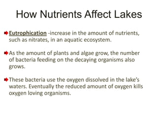 How Nutrients Affect Lakes
Eutrophication -increase in the amount of nutrients,
such as nitrates, in an aquatic ecosystem.

As the amount of plants and algae grow, the number
of bacteria feeding on the decaying organisms also
grows.

These bacteria use the oxygen dissolved in the lake’s
waters. Eventually the reduced amount of oxygen kills
oxygen loving organisms.
 