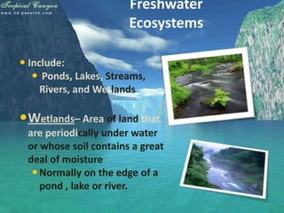 Freshwater
                       Ecosystems

 Include:
    Ponds, Lakes, Streams,
     Rivers, and Wetlands

Wetlands– Area of land that
 are periodically under water
 or whose soil contains a great
 deal of moisture
   Normally on the edge of a
    pond , lake or river.
 
