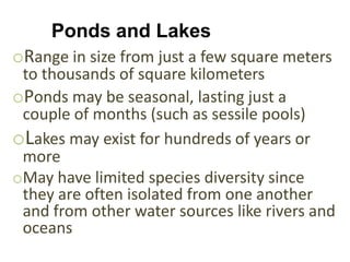 Ponds and Lakes
oRange in size from just a few square meters
 to thousands of square kilometers
oPonds may be seasonal, lasting just a
 couple of months (such as sessile pools)
oLakes may exist for hundreds of years or
 more
oMay have limited species diversity since
 they are often isolated from one another
 and from other water sources like rivers and
 oceans
 
