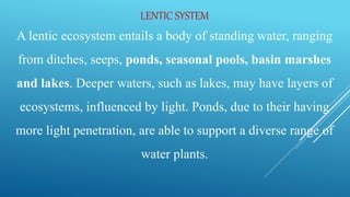 LENTIC SYSTEM
A lentic ecosystem entails a body of standing water, ranging
from ditches, seeps, ponds, seasonal pools, basin marshes
and lakes. Deeper waters, such as lakes, may have layers of
ecosystems, influenced by light. Ponds, due to their having
more light penetration, are able to support a diverse range of
water plants.
 