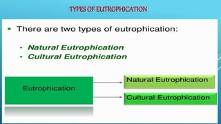 TYPES OF EUTROPHICATION
 