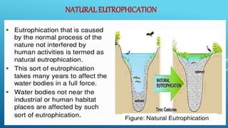 NATURAL EUTROPHICATION
 