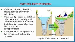 CULTURAL EUTROPHICATION
 