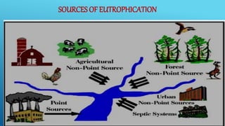 SOURCES OF EUTROPHICATION
 