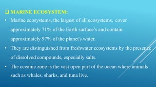  MARINE ECOSYSTEM:
• Marine ecosystems, the largest of all ecosystems, cover
approximately 71% of the Earth surface’s and contain
approximately 97% of the planet's water.
• They are distinguished from freshwater ecosystems by the presence
of dissolved compounds, especially salts.
• The oceanic zone is the vast open part of the ocean where animals
such as whales, sharks, and tuna live.
 