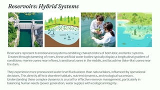 Transitional Rivers Aquatic environment - presentación inglés.pdf