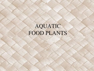 AQUATIC
FOOD PLANTS
 