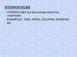 HYDROCOLES
 HYDROCLOES are the animals which live
underwater.
 EXAMPLES : FISH, FROG, DOLPHIN, STARFISH
etc.
 