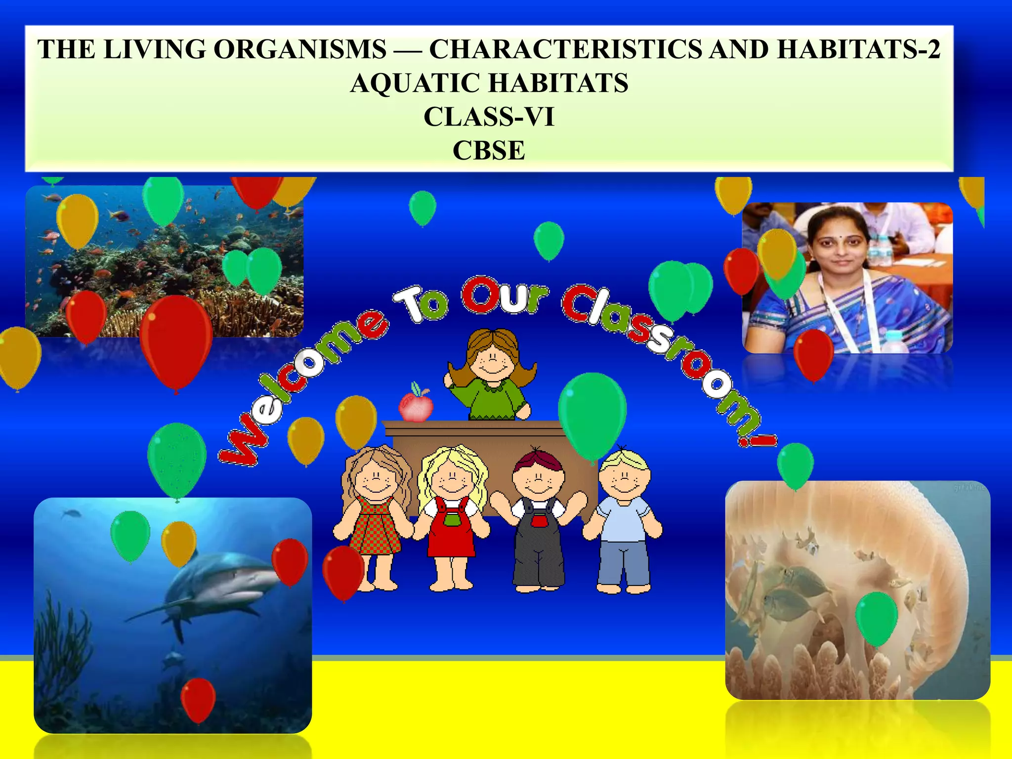 Slide 1