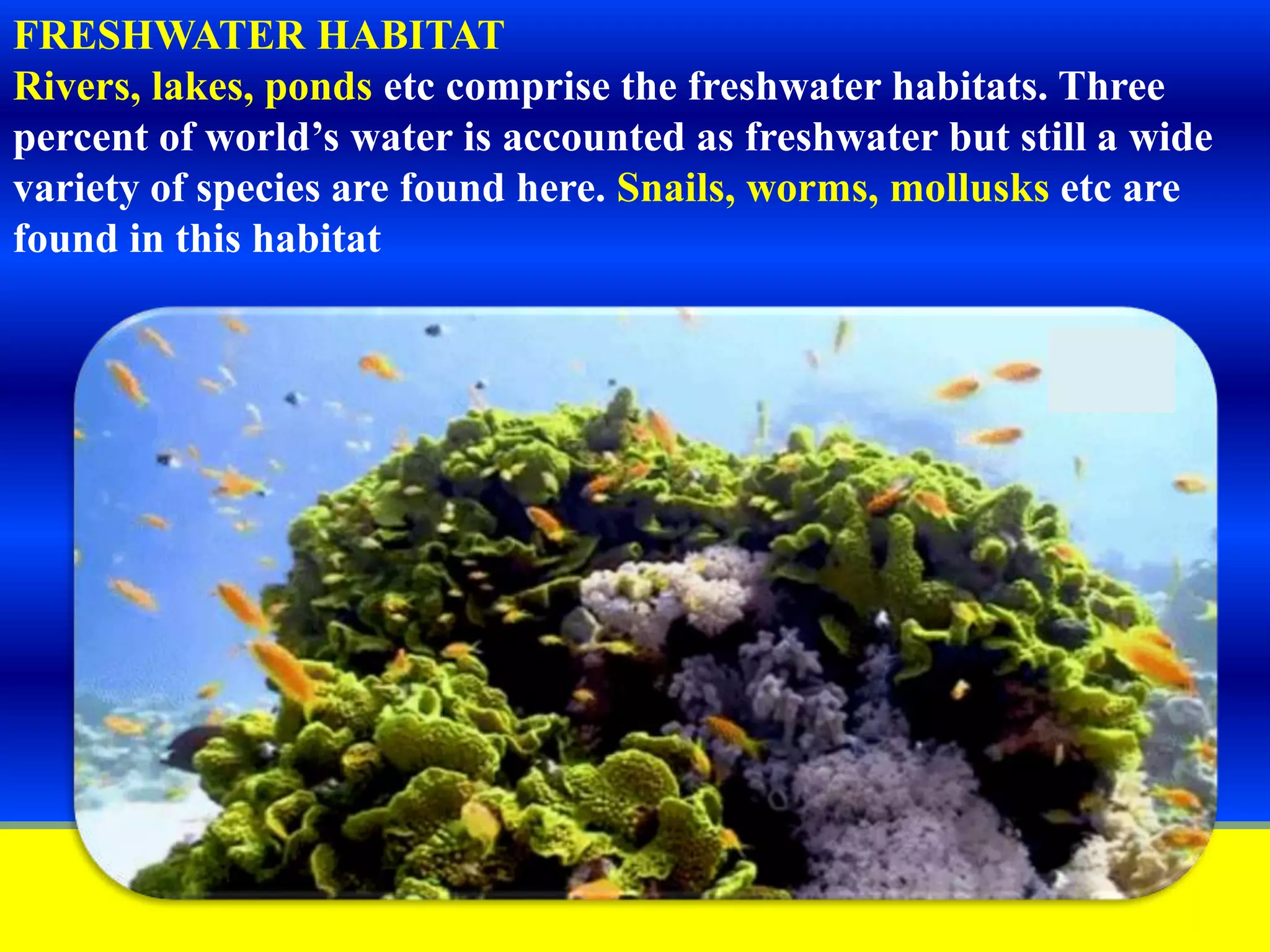 Slide 10