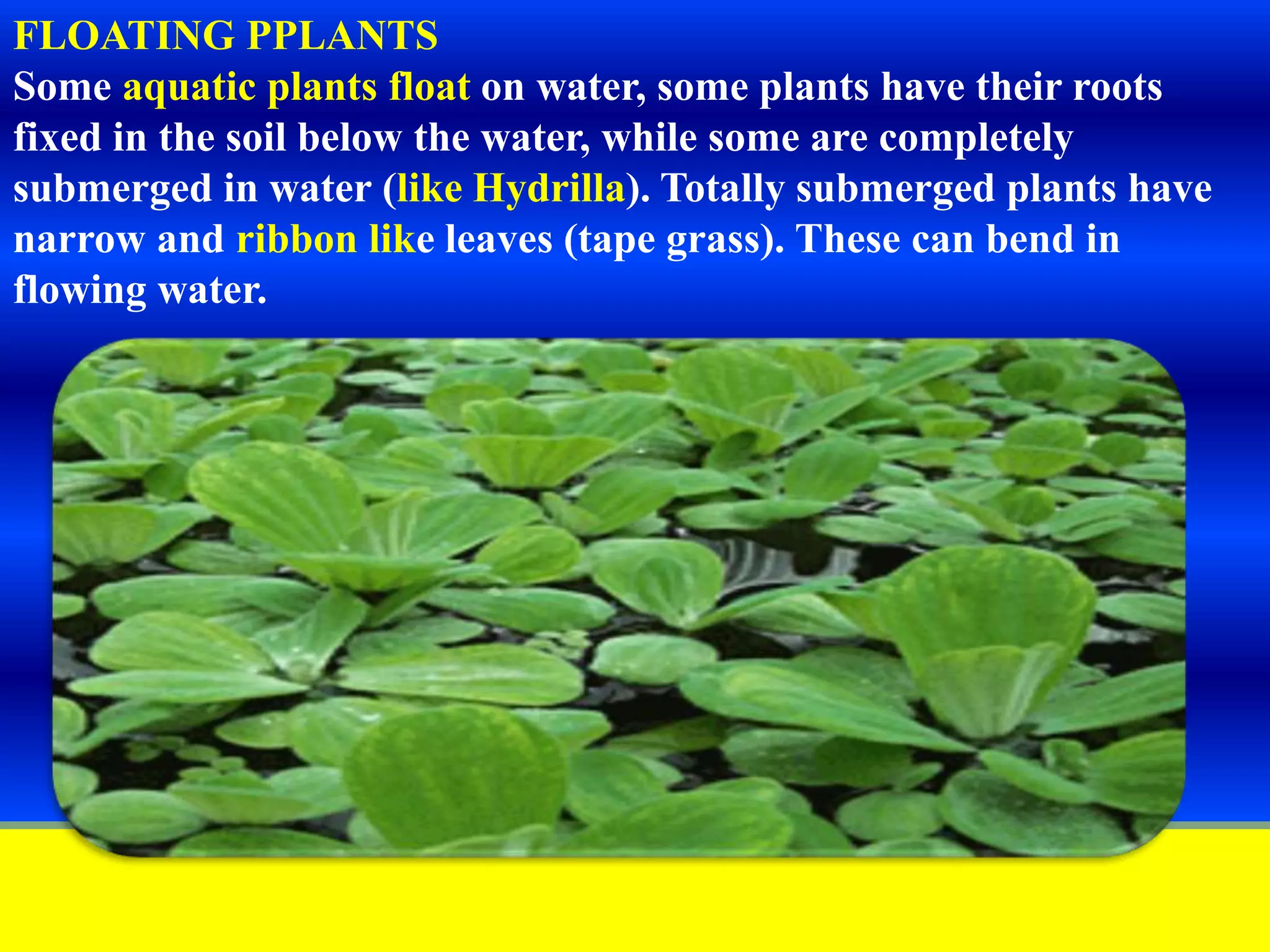 Slide 11