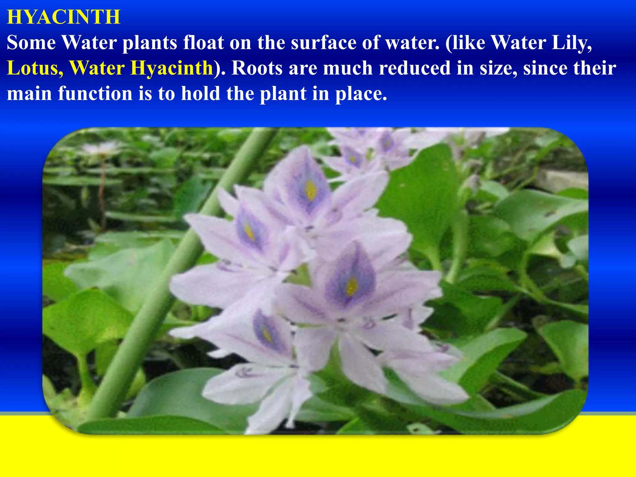 Slide 12