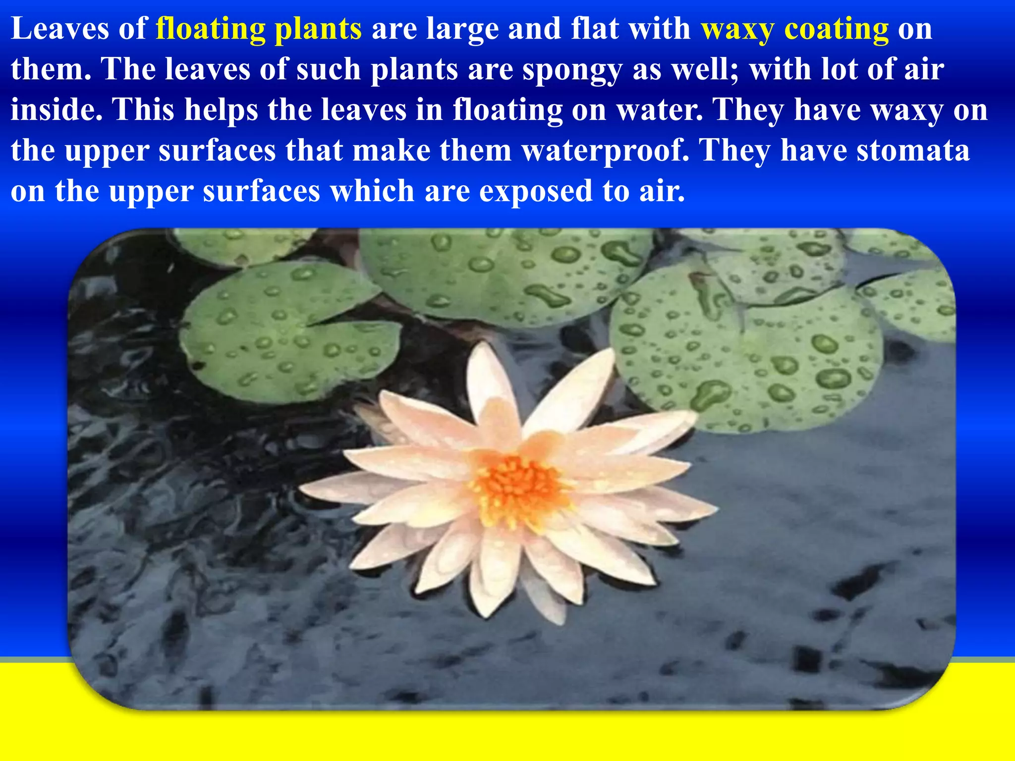 Slide 13