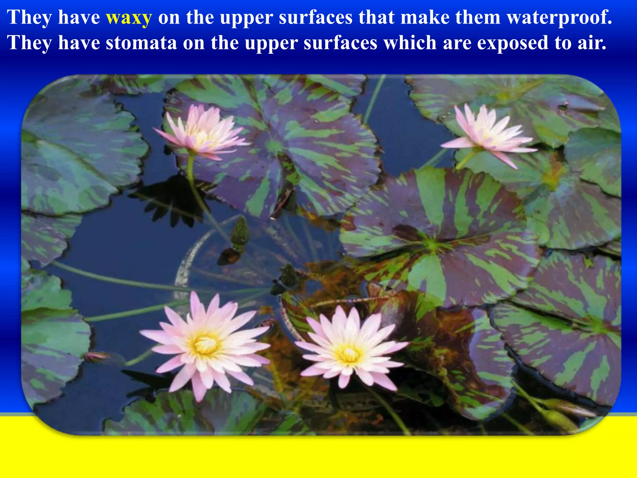 Slide 14