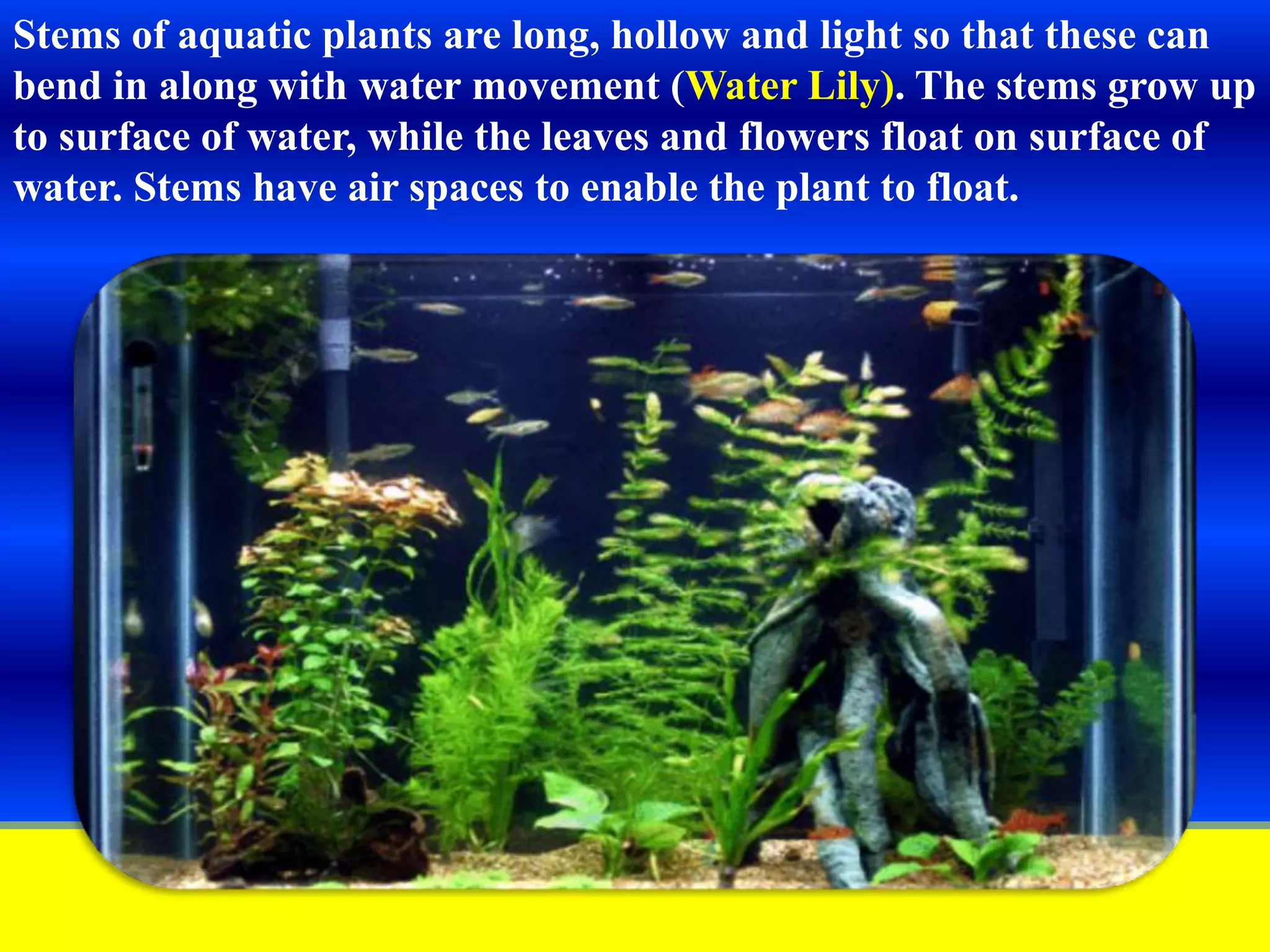 Slide 15