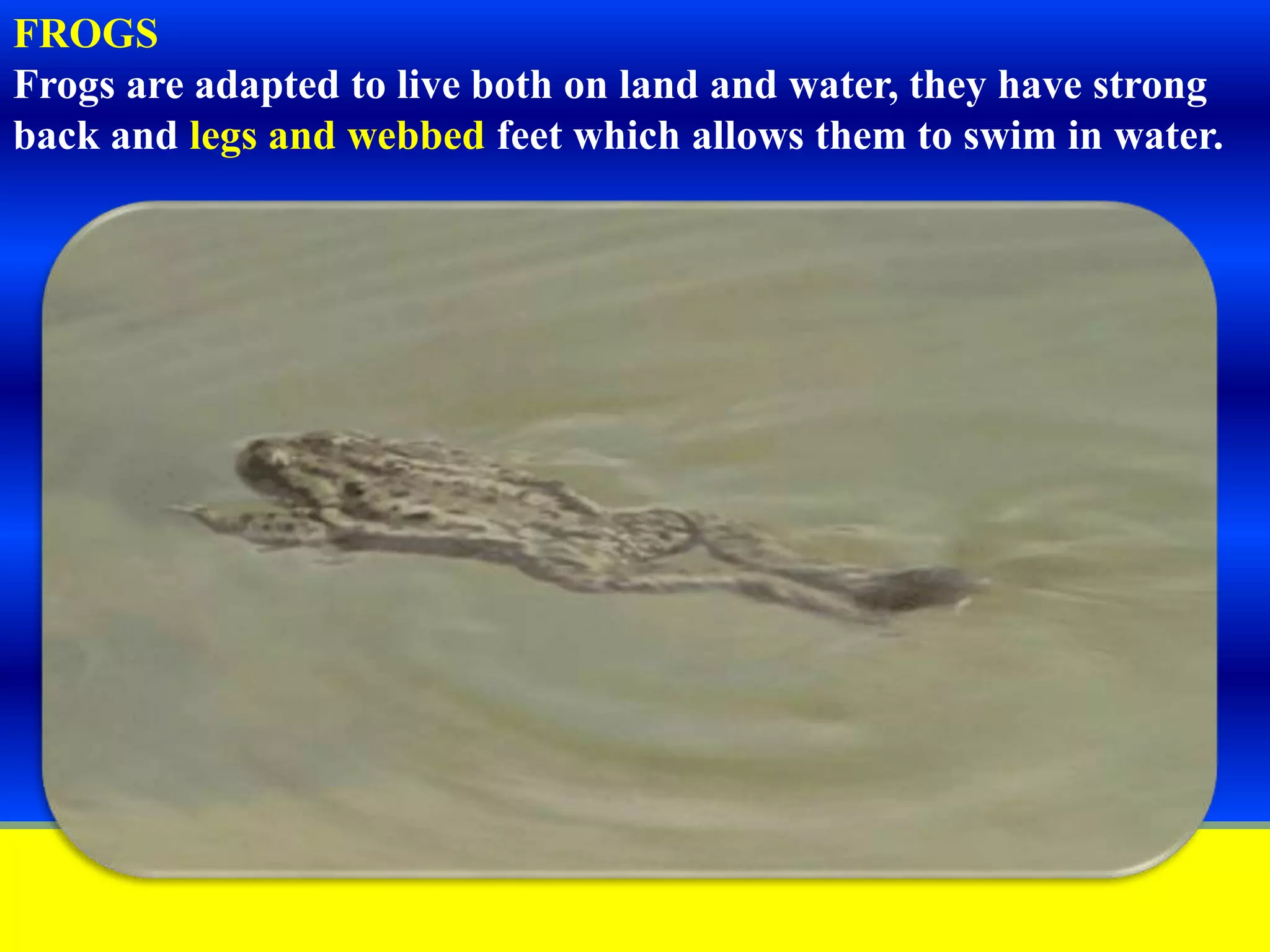 Slide 16
