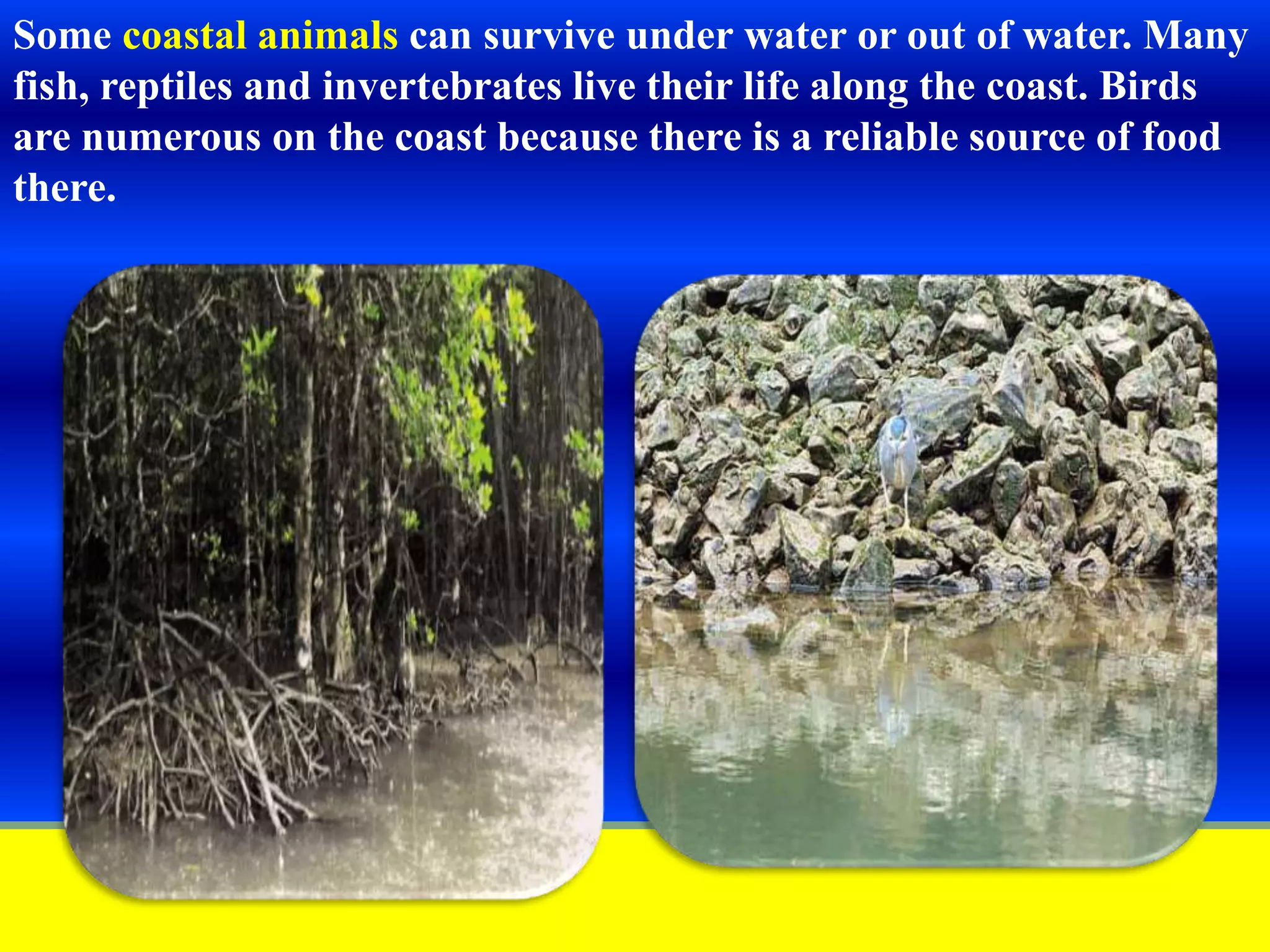 Slide 18
