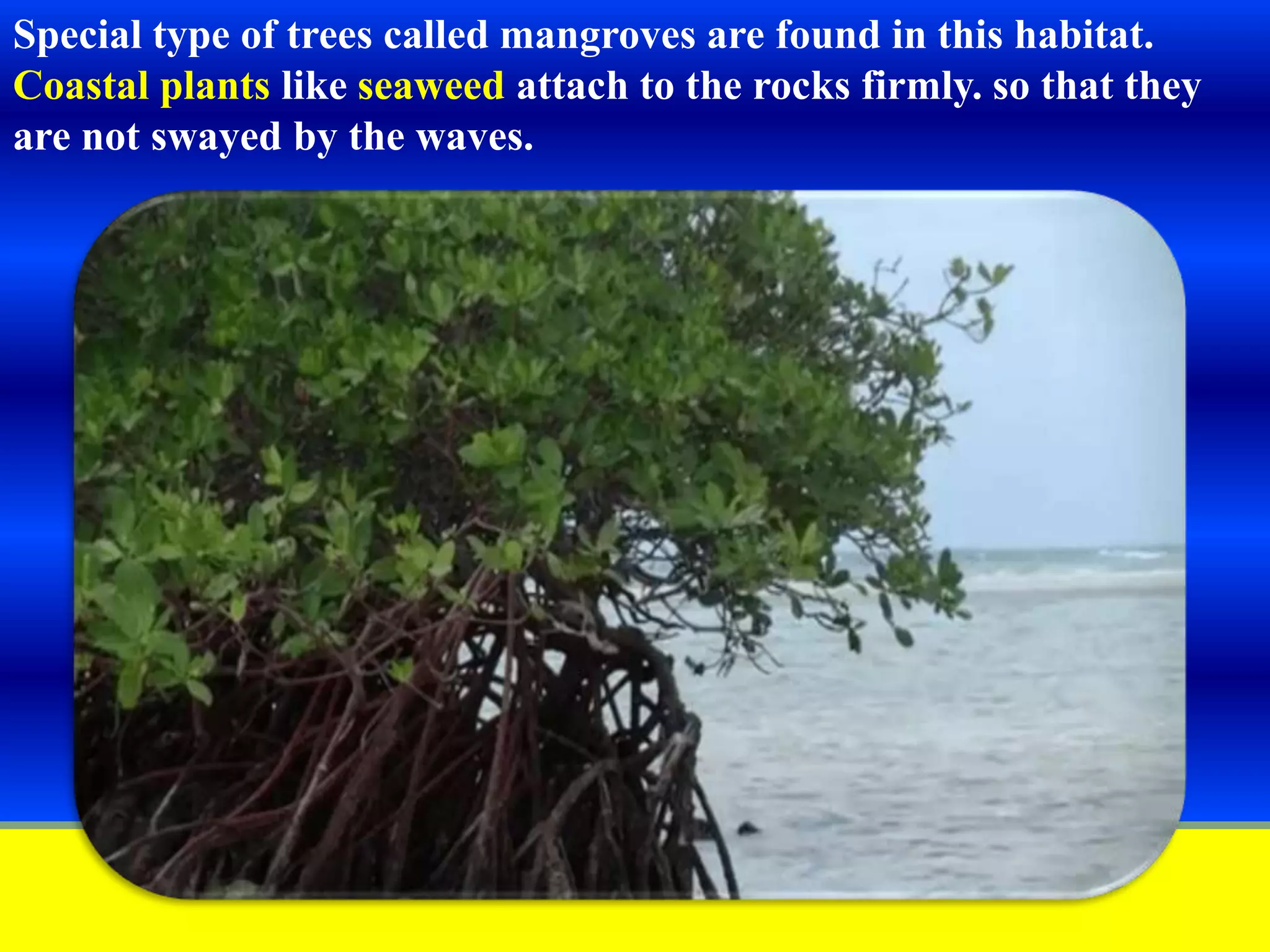 Slide 19
