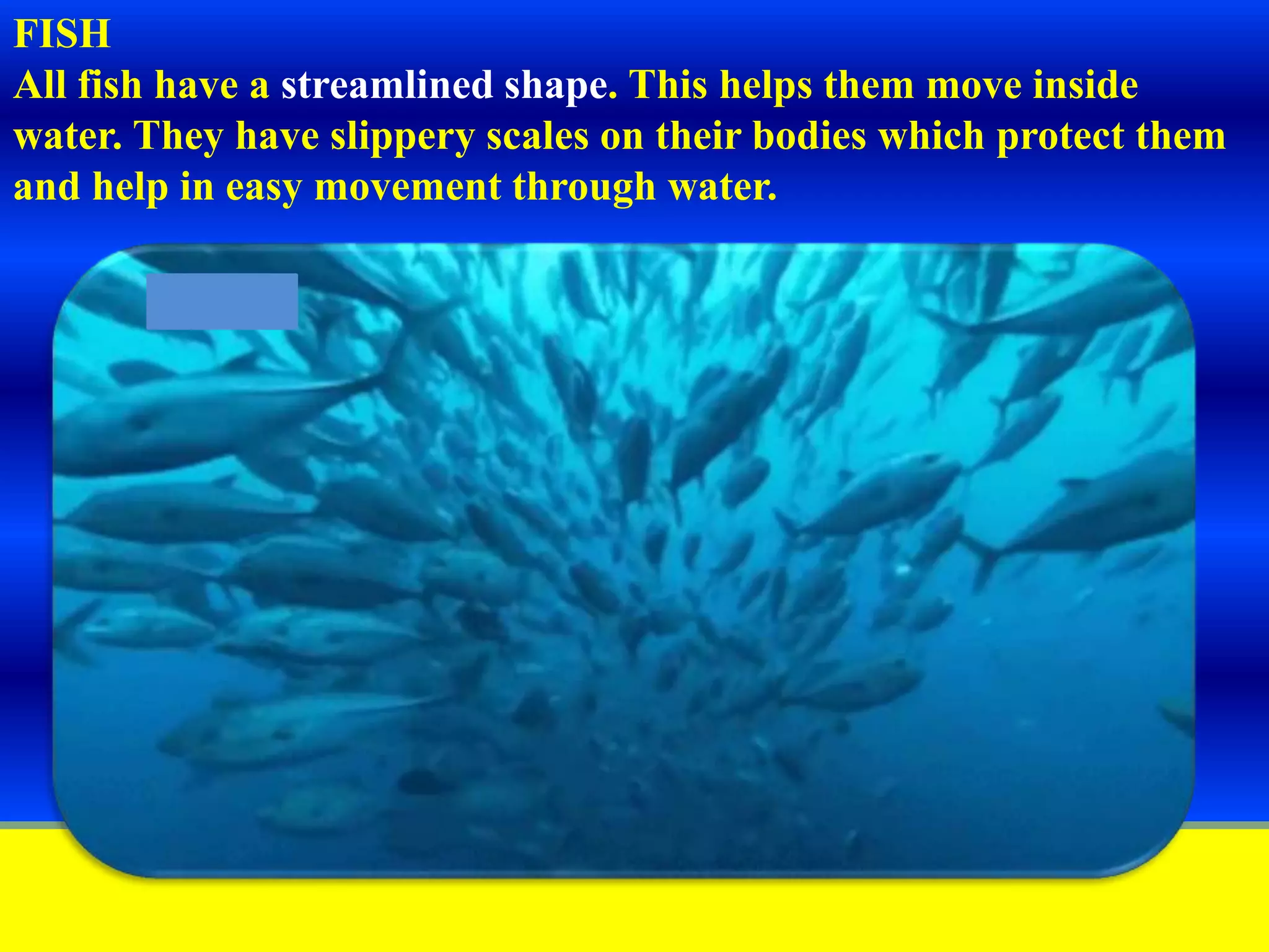 Slide 6
