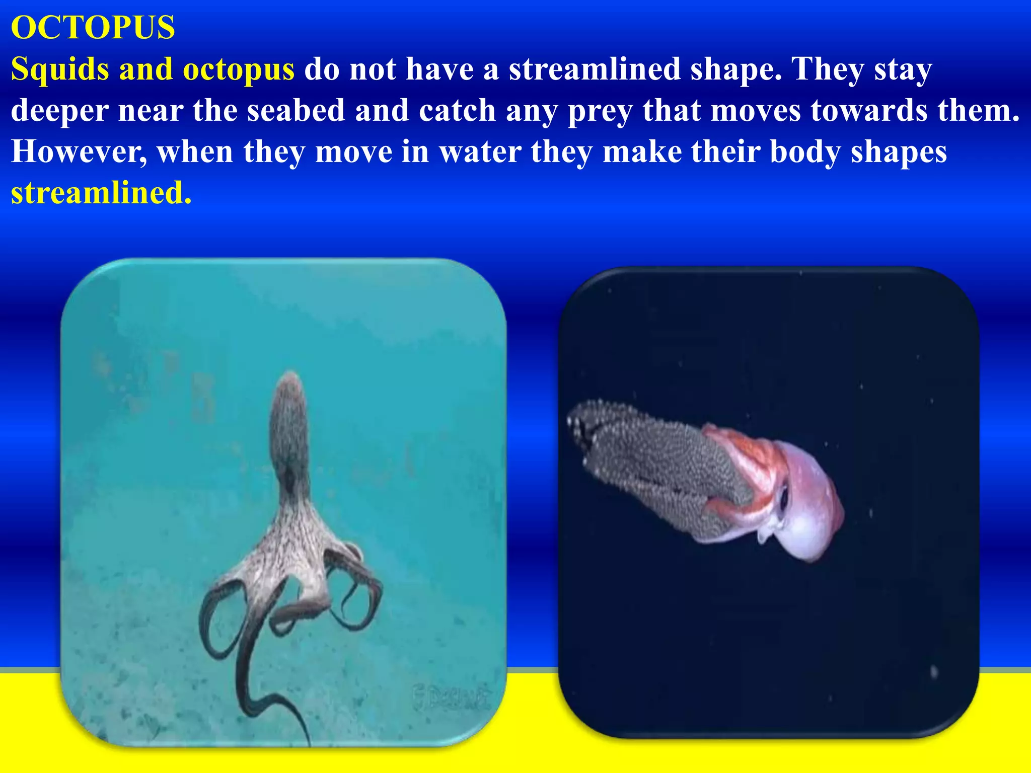 Slide 8