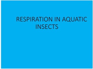 RESPIRATION IN AQUATIC
INSECTS
 