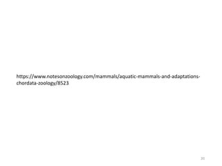 20
https://www.notesonzoology.com/mammals/aquatic-mammals-and-adaptations-
chordata-zoology/8523
 