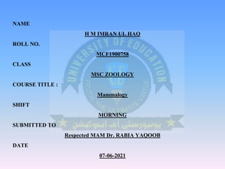 NAME
H M IMRAN UL HAQ
ROLL NO.
MCF1900758
CLASS
MSC ZOOLOGY
COURSE TITLE :
Mammalogy
SHIFT
MORNING
SUBMITTED TO
Respected MAM Dr. RABIA YAQOOB
DATE
07-06-2021
 