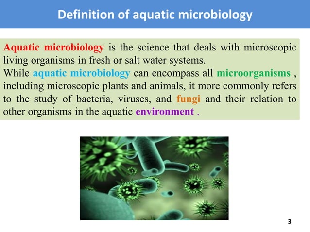 Aquatic Microbiology Pptx Biological Sciences Science