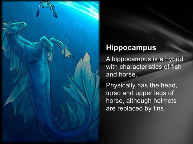 Aquatic Mythological Beings | PPT