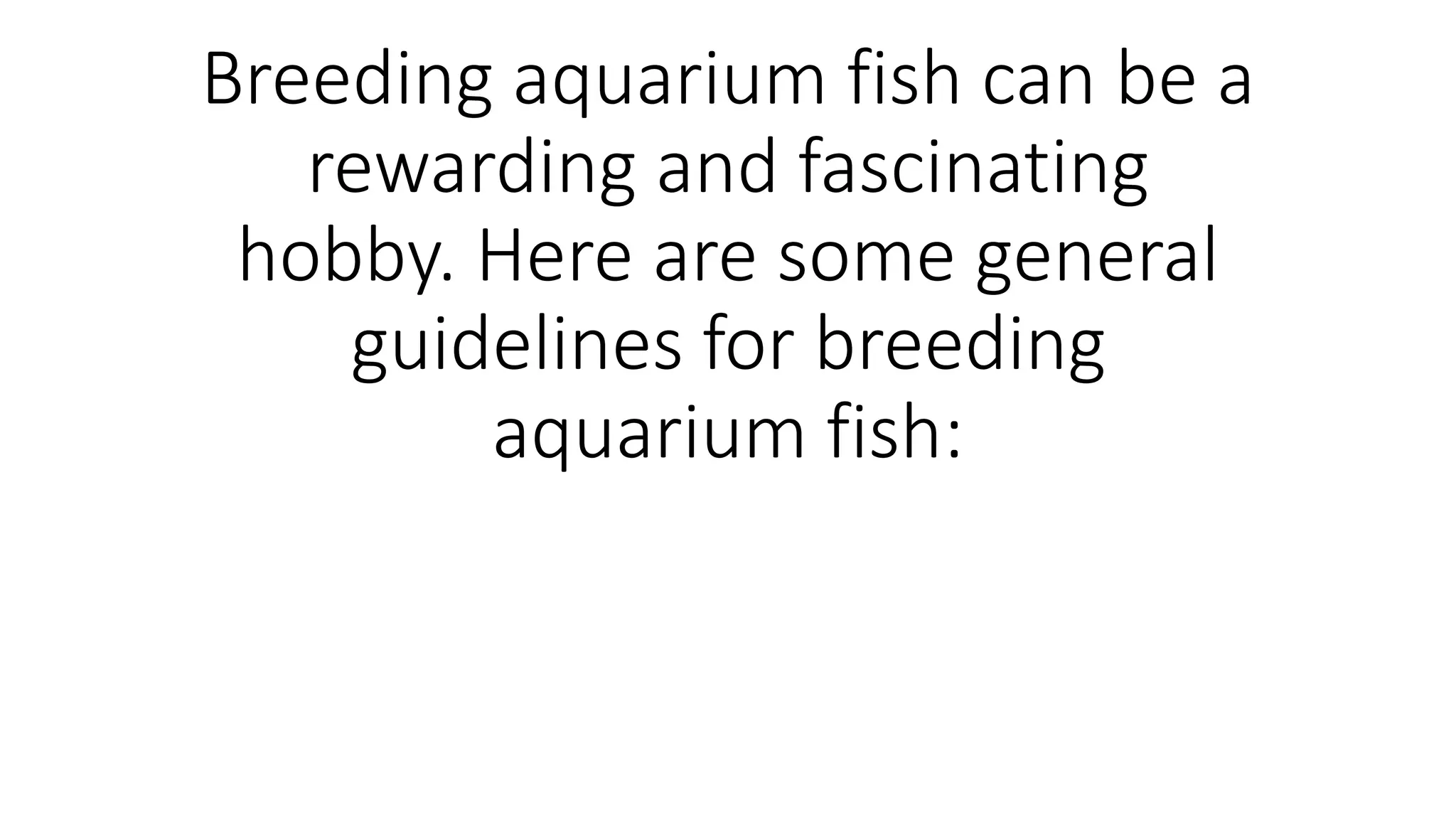 Fresh Look at Birch Aquarium At Scripps