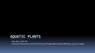 AQUATIC PLANTS
Felix Bast, PhD, IFA
Centre for Biosciences,Central University of Punjab, Mansa Road, Bathinda, 151001, Punjab
 