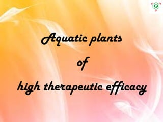 Aquatic plants
of
high therapeutic efficacy
 