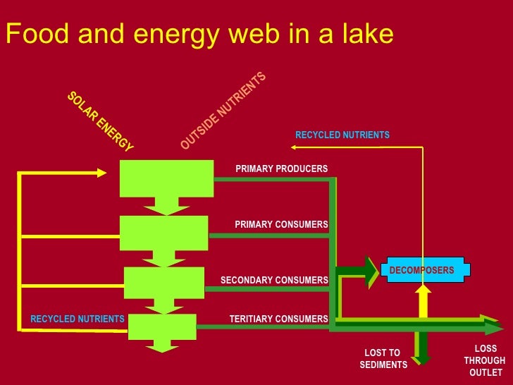 Aquatic Systems An Overview