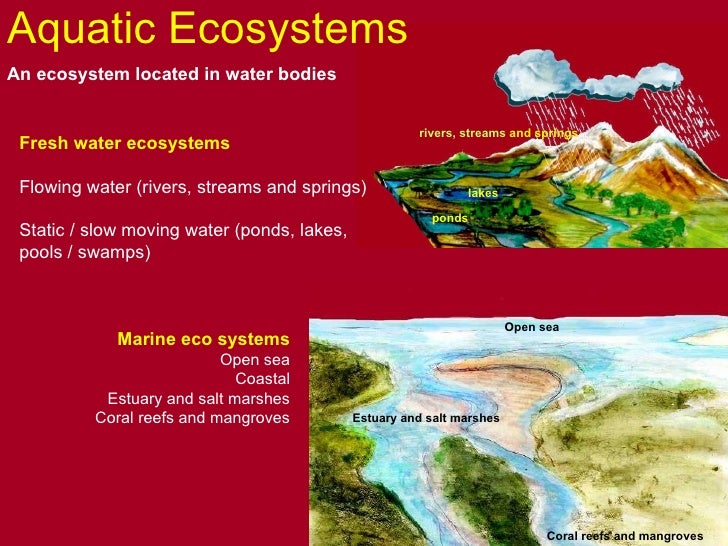 Aquatic Systems An Overview
