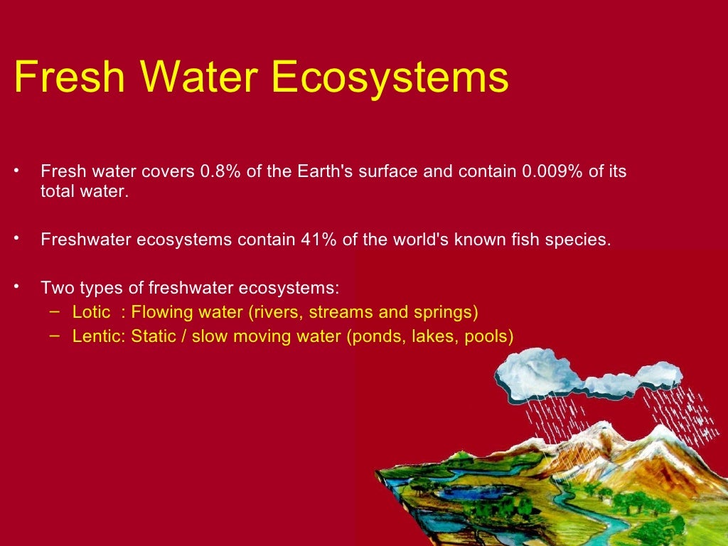 Aquatic Systems An Overview