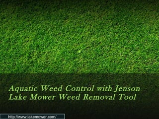 Aquatic Weed Control with Jenson 
Lake Mower Weed Removal Tool 
http://www.lakemower.com/ 
 