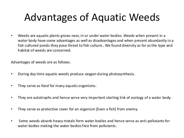 aquatic weeds