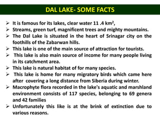  It is famous for its lakes, clear water 11 .4 km2,
 Streams, green turf, magnificent trees and mighty mountains.
 The Dal Lake is situated in the heart of Srinagar city on the
foothills of the Zabarwan hills.
 This lake is one of the main source of attraction for tourists.
 This lake is also main source of income for many people living
in its catchment area.
 This lake is natural habitat of for many species.
 This lake is home for many migratory birds which came here
after covering a long distance from Siberia during winter.
 Macrophyte flora recorded in the lake's aquatic and marshland
environment consists of 117 species, belonging to 69 genera
and 42 families
 Unfortunately this like is at the brink of extinction due to
various reasons.
DAL LAKE- SOME FACTS
 