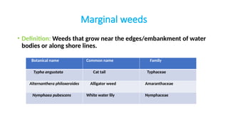 Aquatic weeds and their control and management.pptx